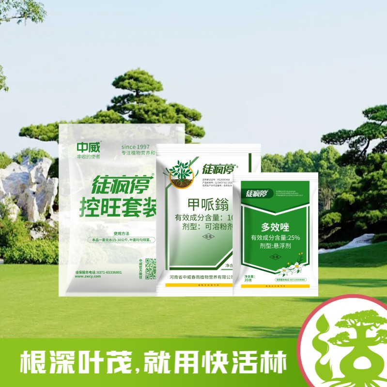 徒瘋?？赝籽b